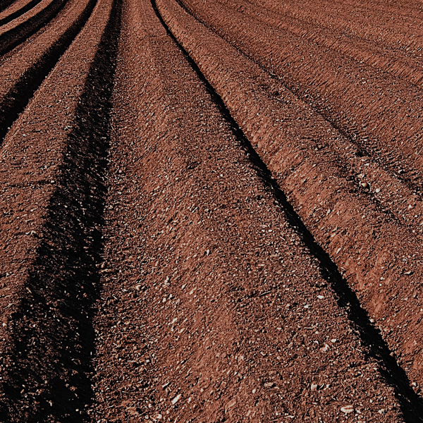 Fields of compost