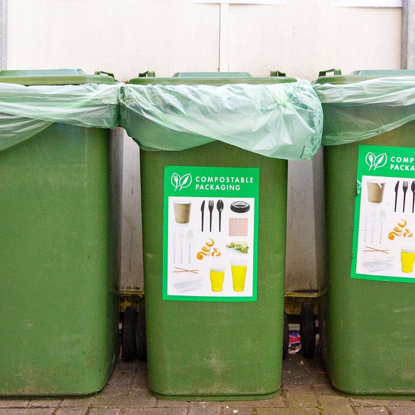 Three bins in a row for Vegware and food waste composting collections